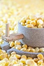 Corn, coarse grain Royalty Free Stock Photo