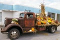 Corn and mums in a fall display on a truck Royalty Free Stock Photo