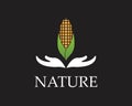 Corn nature industry logo vector illustration