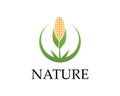 Corn nature industry logo vector illustration