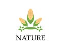 Corn nature industry logo vector illustration