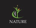 Corn nature industry logo vector illustration