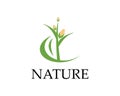 Corn nature industry logo vector illustration