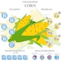 Corn nutrition facts and health benefits infographic