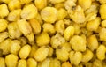 Corn Nuts Roasted and Salted Royalty Free Stock Photo