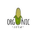 Corn. Organic market. Design logo for farm produce