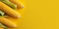 Corn organic vegetable for cooking copy space blurred background