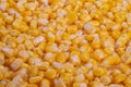 Corn pattern design, Repeating corn kernel pattern ideal for packaging and banners, Dense organic corn kernel texture suitable for Royalty Free Stock Photo