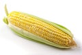 Corn photo realistic illustration - Generative AI.