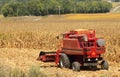 Corn Picking Royalty Free Stock Photo