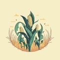 corn plant cultivation with ripe corn cobs Royalty Free Stock Photo
