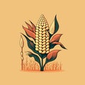 corn plant cultivation with ripe corn cobs Royalty Free Stock Photo