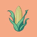 corn plant cultivation with ripe corn cobs Royalty Free Stock Photo