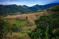 Corn plant in the middle of the mountains in mexico state Royalty Free Stock Photo