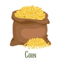 Corn plant, sweet corn, corn kernels in a canvas bag. Agriculture, food icon