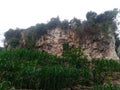 corn plantations in the fields of residents of the territory of Indonesia