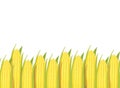 Corn plants horizontal seamless pattern background border