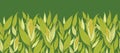 Corn plants horizontal seamless pattern background