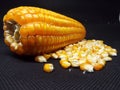 Corn pods and corn kernels are scattered around