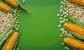 Corn and Popcorn Arrangement with Green Background, Fresh corn on cobs, popped popcorn scattered, vibrant green surface Royalty Free Stock Photo