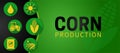 Corn Production Agriculture Illustration Background with Icons