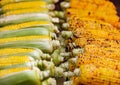 Corn raw and baked, cobs stacked in a row, selective focus Royalty Free Stock Photo