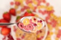 Corn rings with lingonberries in milk in a spoon, close-up view from above. Quick breakfasts with berries and fruits Royalty Free Stock Photo