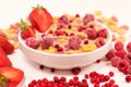 Corn rings with milk in a plate with berries and fruits, side view on a white background. The concept of quick breakfast Royalty Free Stock Photo