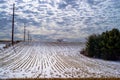 Corn rows, power lines, winter Royalty Free Stock Photo