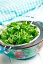 Corn salad, lamb's lettuce in colander Royalty Free Stock Photo