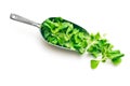 Corn salad, lamb's lettuce in scoop Royalty Free Stock Photo