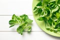 Corn salad, lamb's lettuce Royalty Free Stock Photo