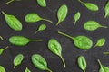 Corn salad  Valerianella locusta  leaves arranged in pattern over black slate like board - overhead shot. Healthy green leaf Royalty Free Stock Photo