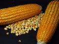 two pieces of corn and their scattered grains