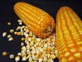 two pieces of corn and their scattered grains