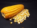 A corn and scattered grains