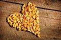 Corn seed Royalty Free Stock Photo