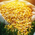 Corn seed sack