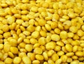 Corn seeds Royalty Free Stock Photo