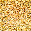 Corn seeds background Royalty Free Stock Photo