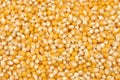 Corn seeds background. Raw mais Royalty Free Stock Photo