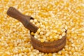 Corn seeds background. Raw mais with wooden scoop Royalty Free Stock Photo