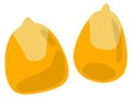 Corn seeds. Cartoon natural raw maize icon