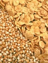 Corn seeds and corn-flakes