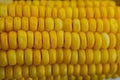 Macro, close up of raw yellow corn grains background