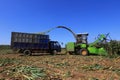 Corn silage harvester in farmland, North China Plain Royalty Free Stock Photo