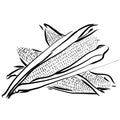 Corn Sketch Vegetables Outline Vector Artwork