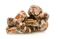 Corn Snake Royalty Free Stock Photo