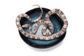 Corn snake on white background Royalty Free Stock Photo