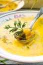 Corn soup with brussels sprouts and other vegetables Royalty Free Stock Photo